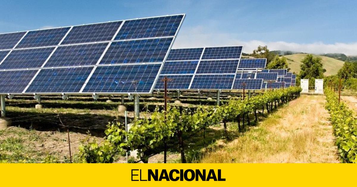 La energía agrovoltaica es el futuro en España