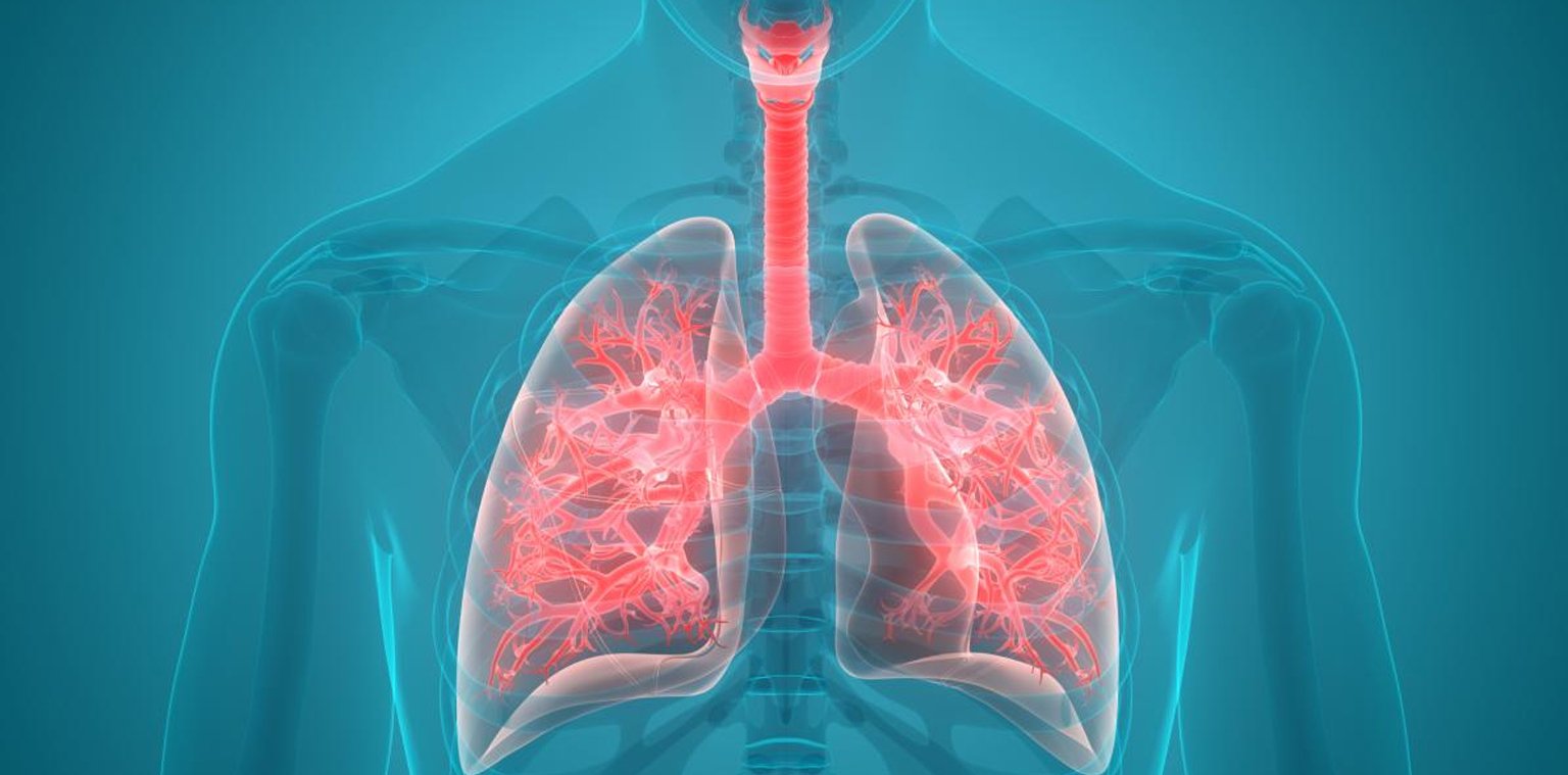 Bronquitis catarro y neumonía sus diferencias y cómo detectarlas