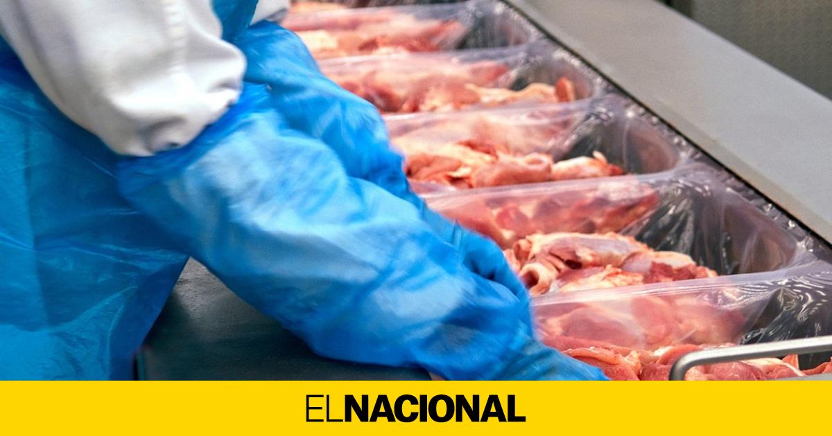 Las Exportaciones Agroalimentarias Catalanas Crecen Un 4 6