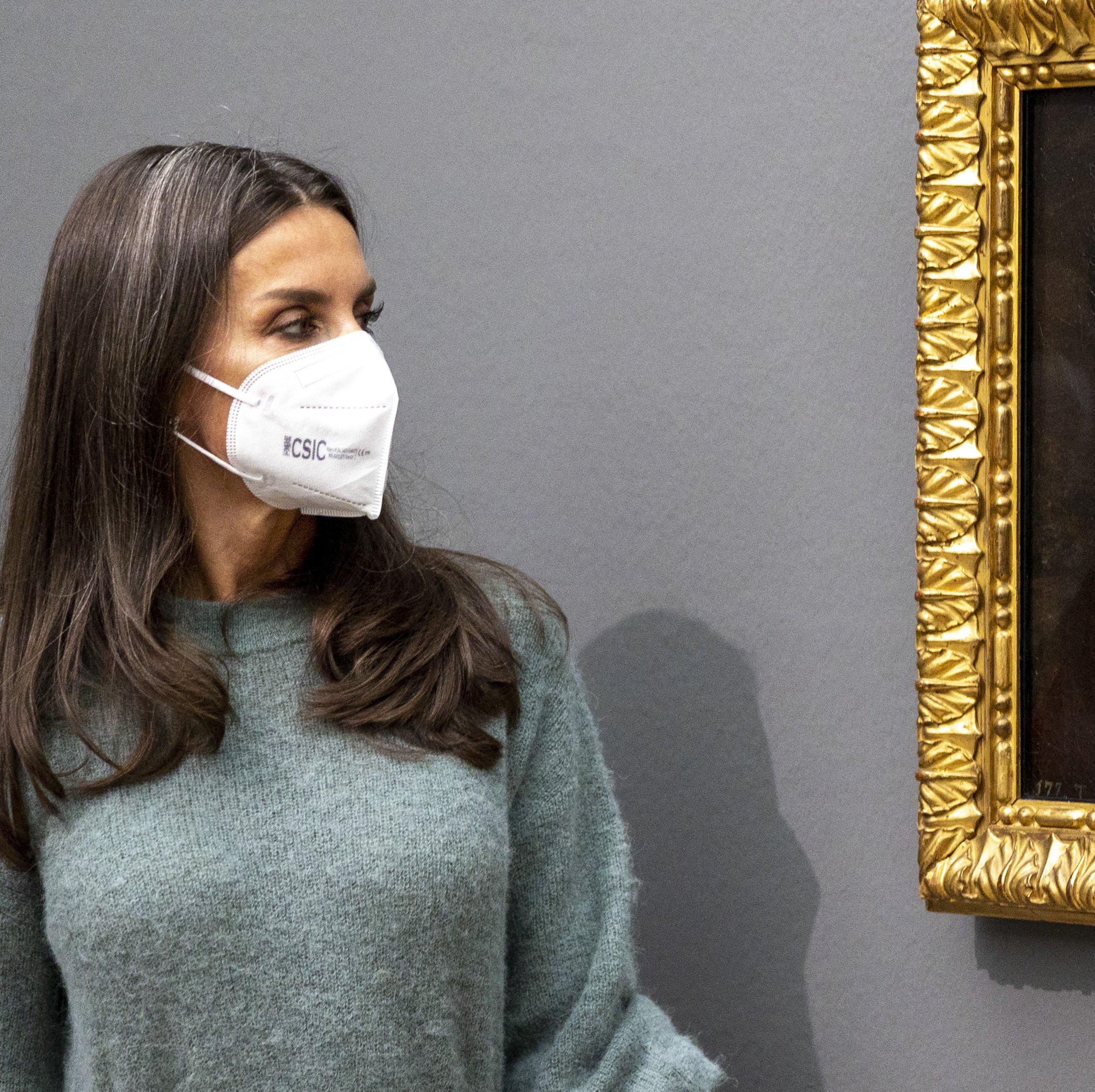 Pulla al nuevo retrato de Letizia de una pintora catalana: "Mejor que al natural"