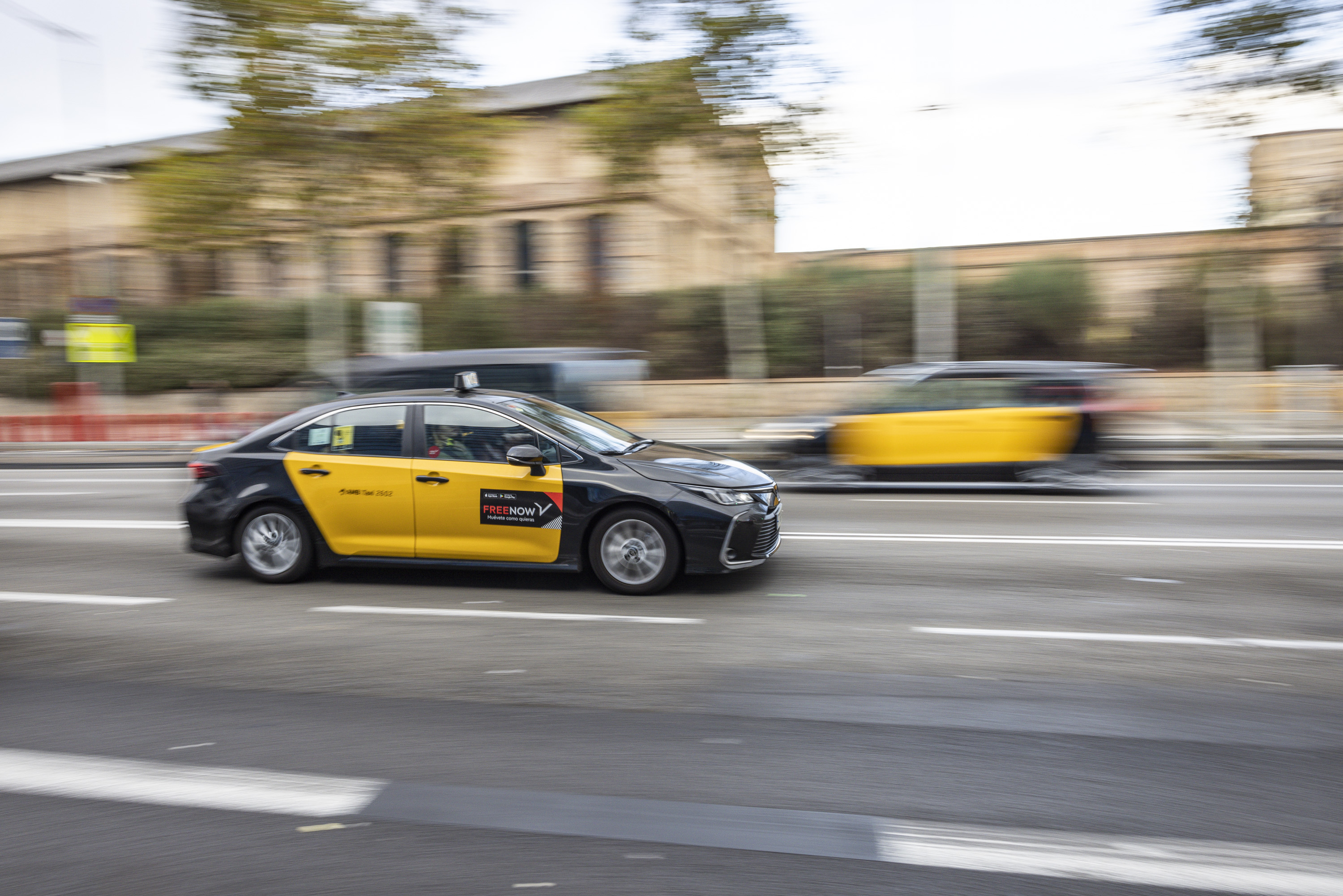 Recurs taxi / Foto: Carlos Baglietto