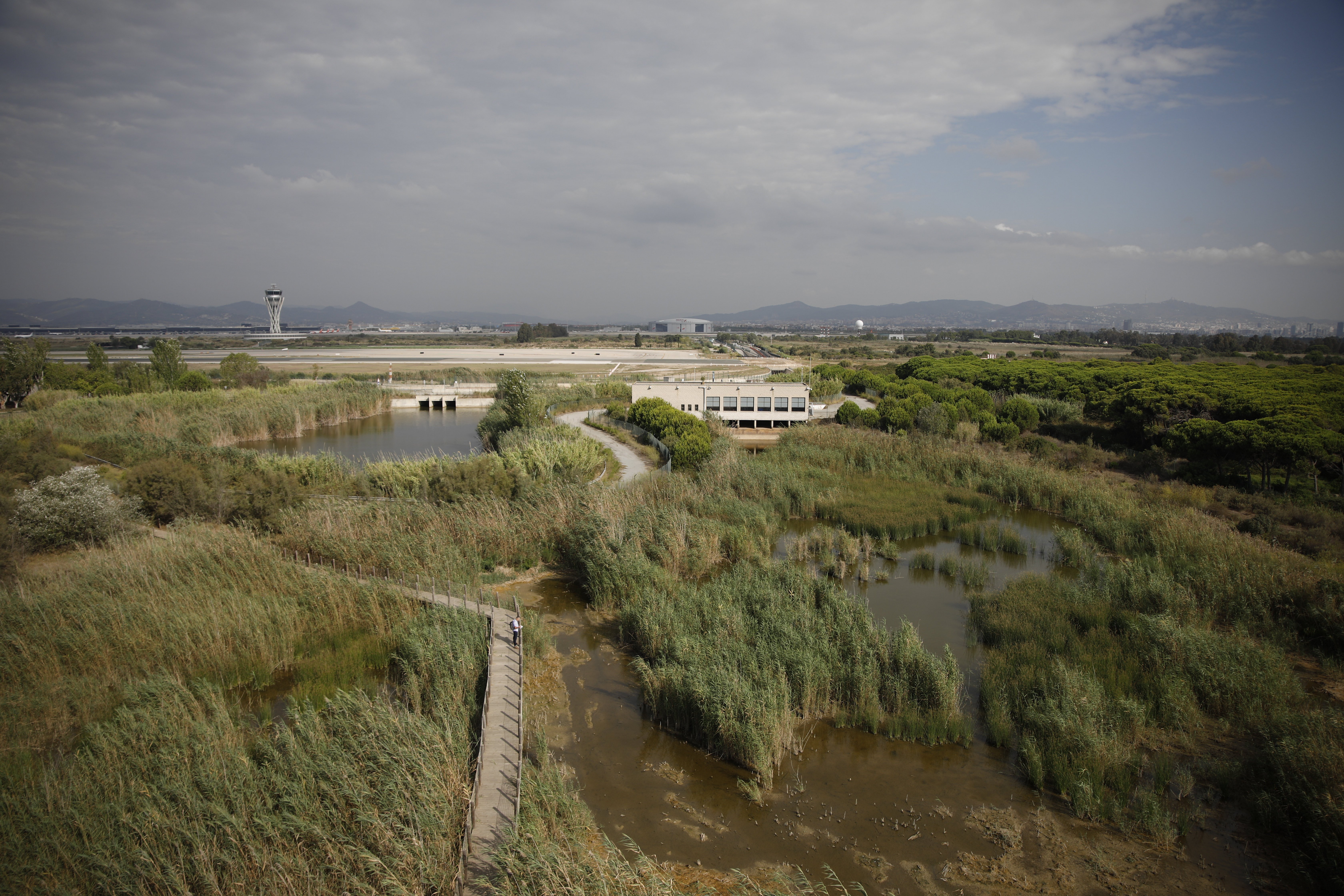 Vista general de l'espai protegit de La Ricarda, al Prat de Llobregat. Europa Press