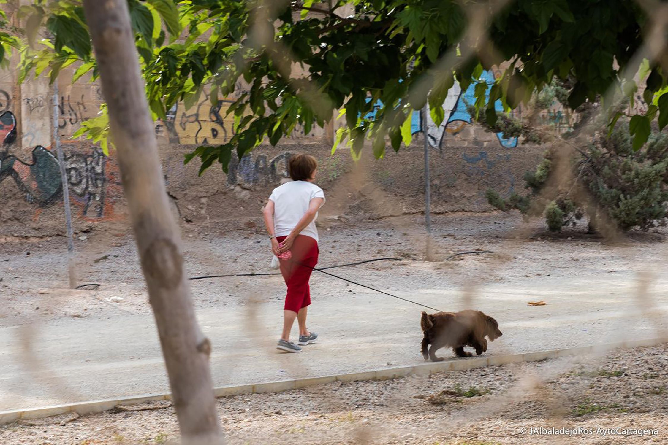 ¿Puedes salir a pasear mientras estás de baja laboral? Esto es lo que dice la ley