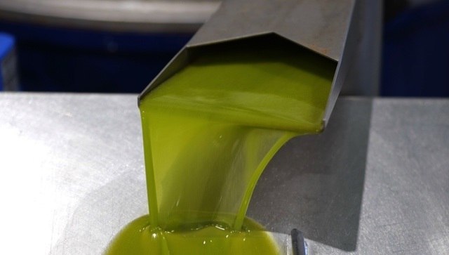 La producción de aceite de oliva suma casi 830.000 toneladas en cinco meses de campaña