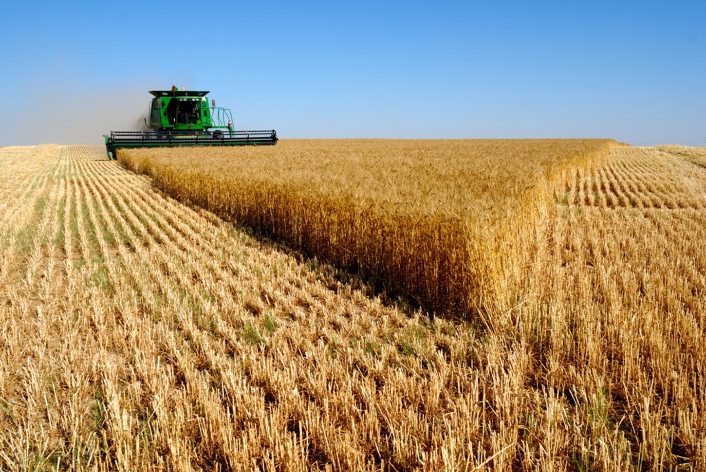 La renta agraria crece un 11,1% este año y se sitúa en 31.931 millones de euros