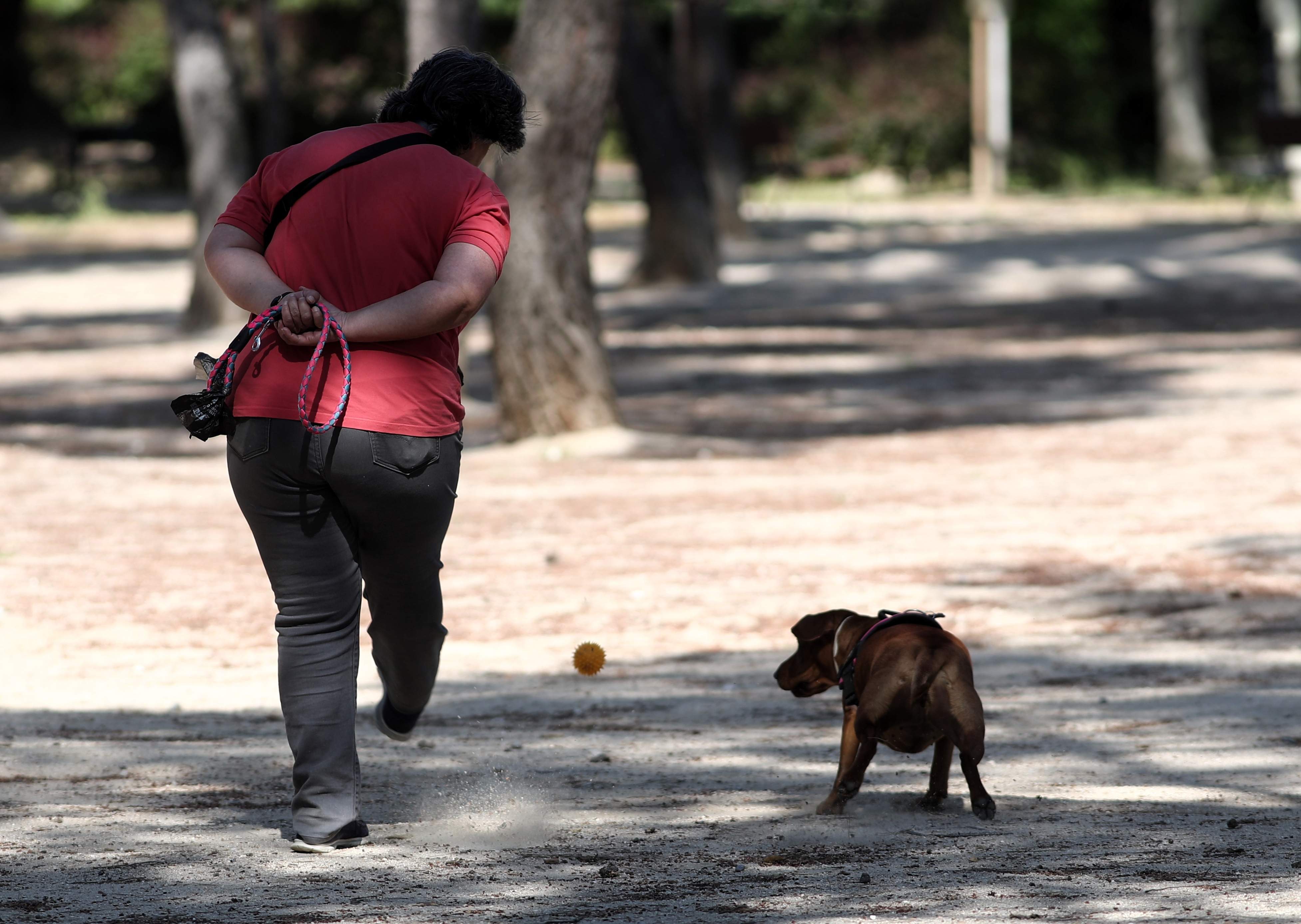 Els cinc serveis a domicili més sol·licitats: de massatgista a passejador de gossos