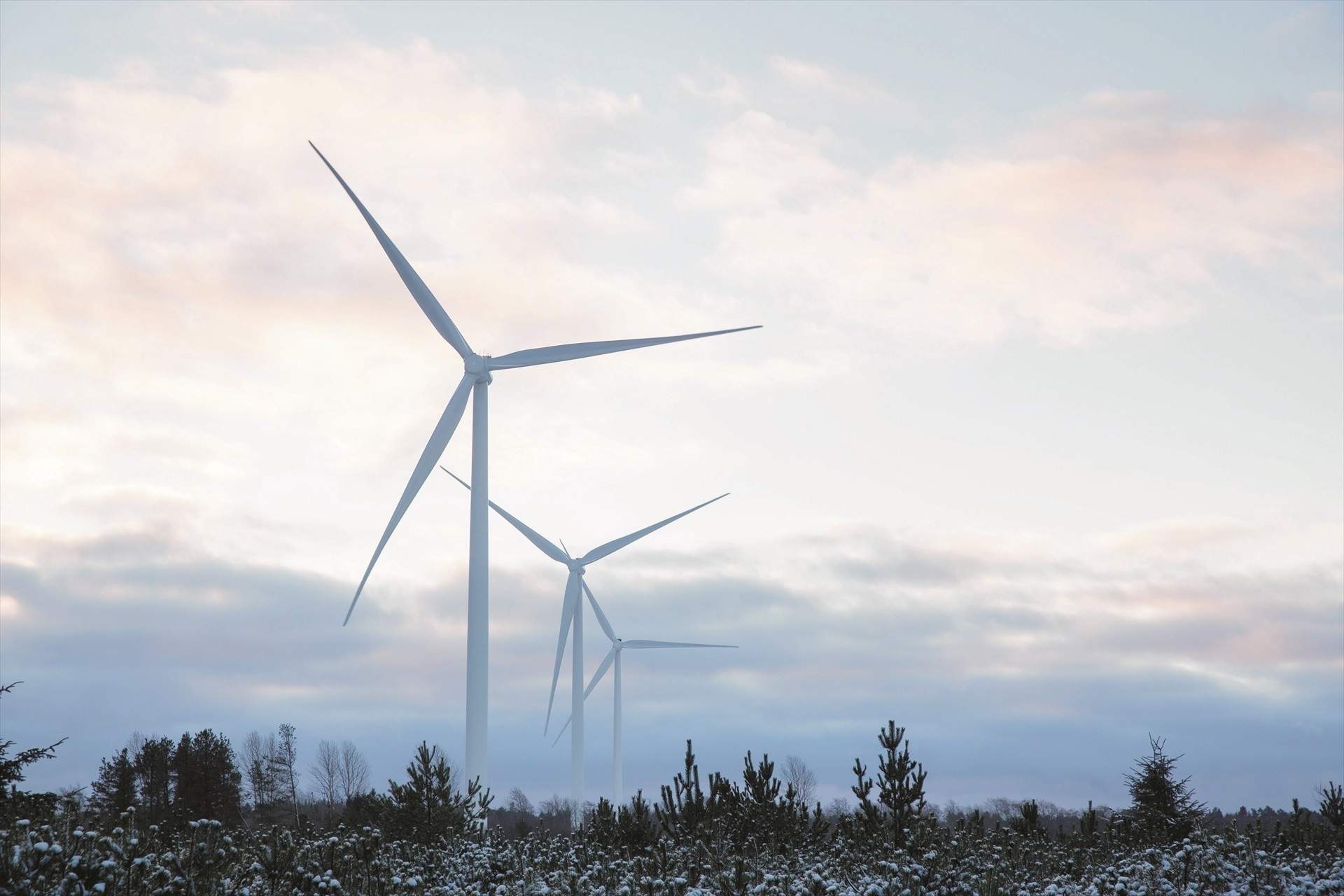 Siemens Gamesa reduce sus pérdidas un 66,5% entre octubre y junio, pero lastra a su matriz