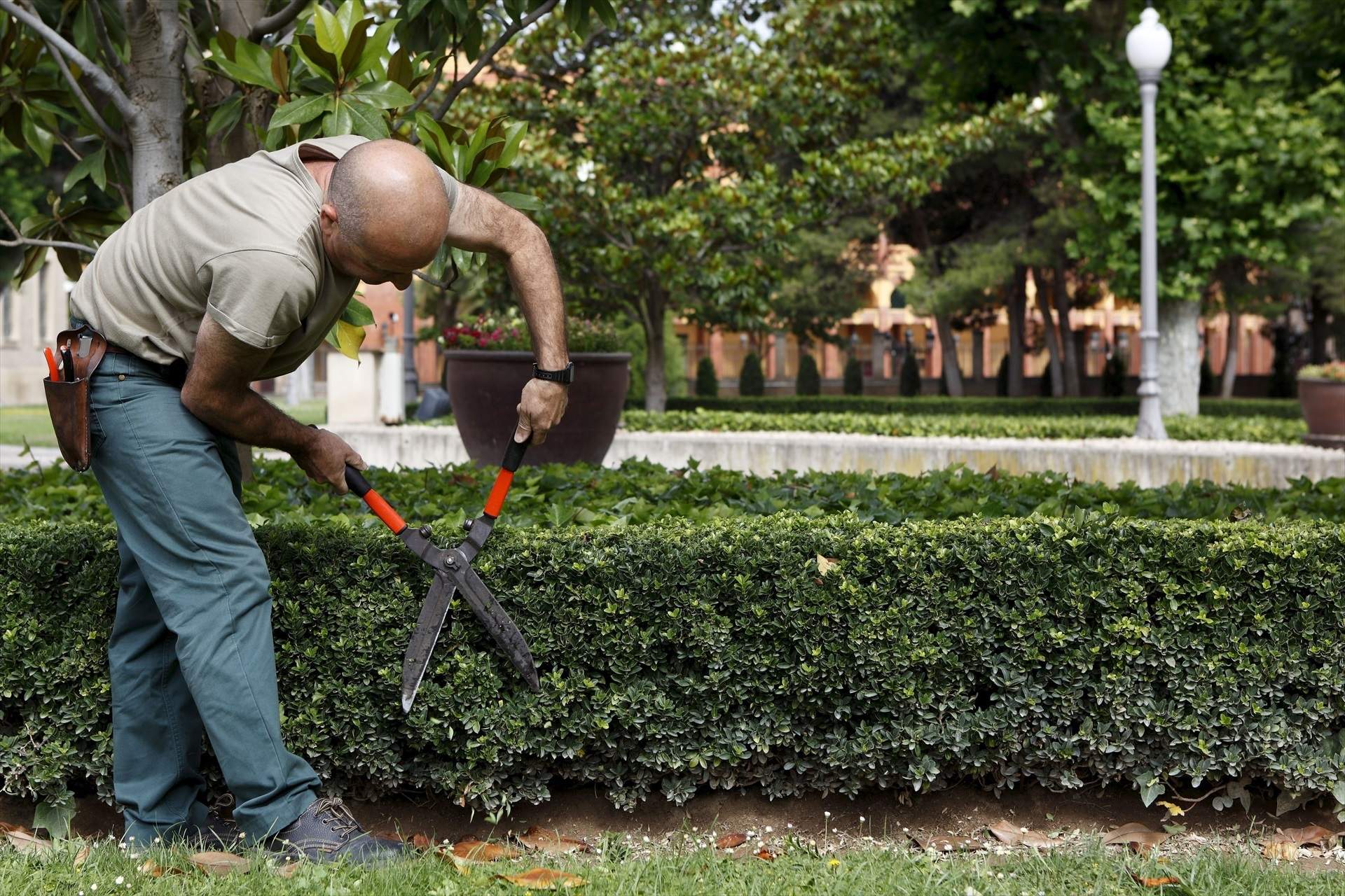 EuropaPress 2080496 servicio jardineria contratos gobierno aragon reserva centros especiales