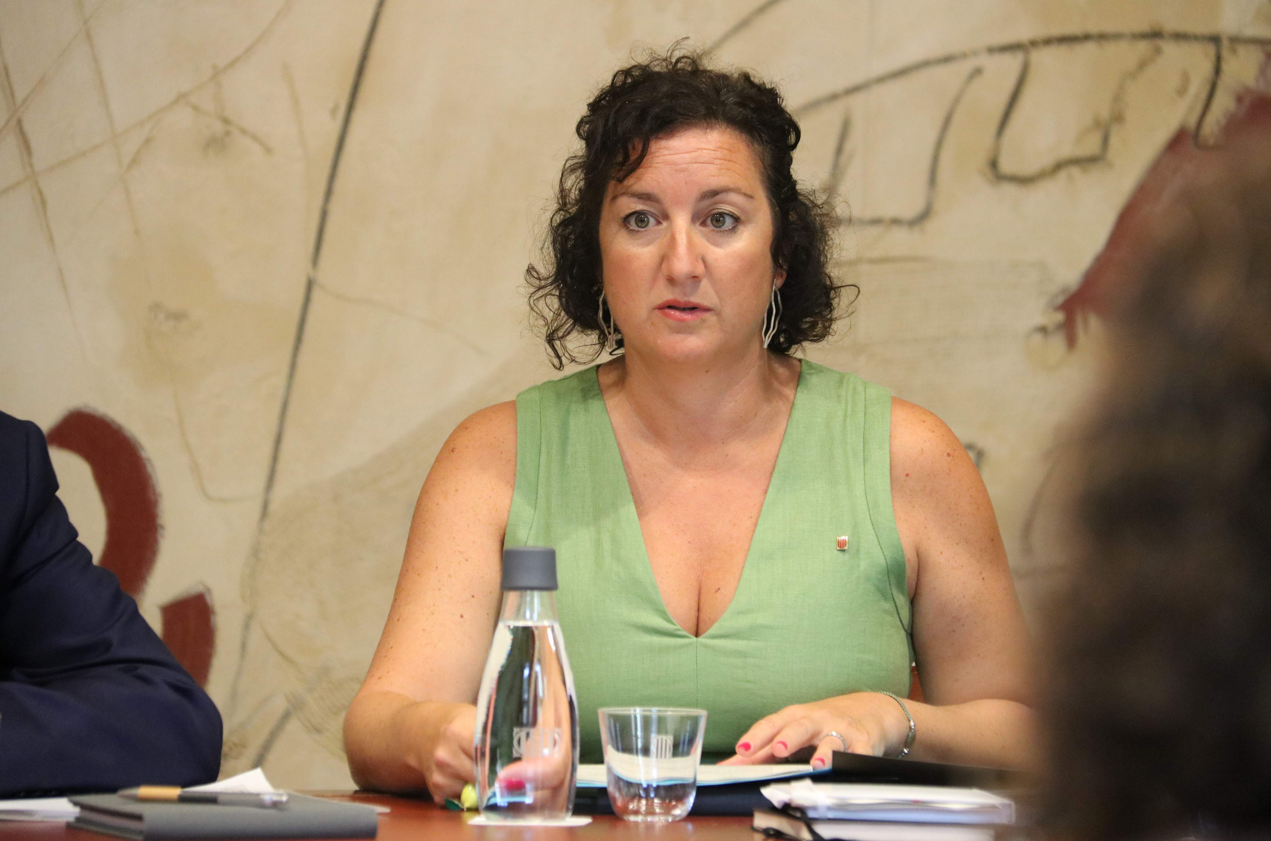 alicia romero reunió consell executiu