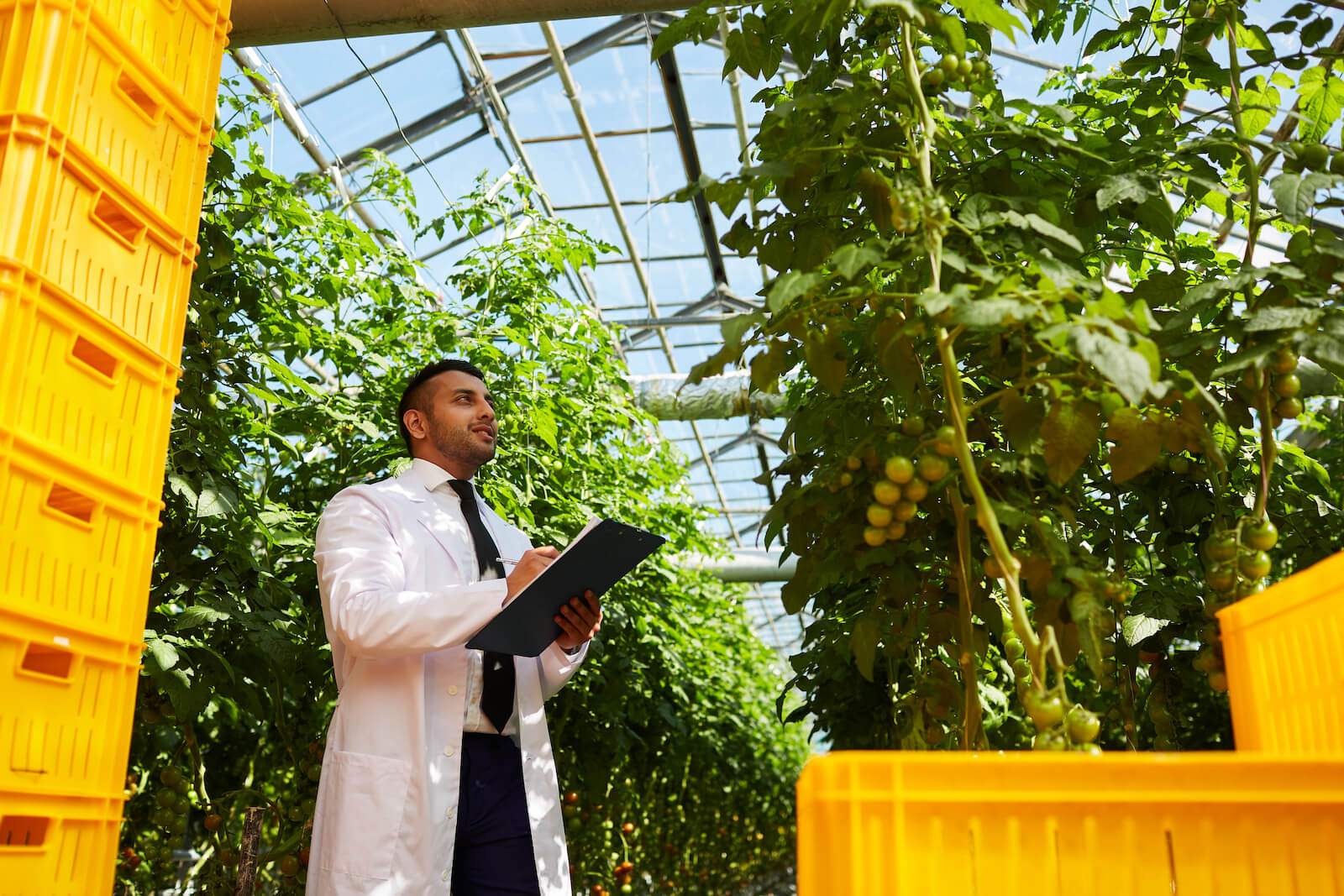 El robot catalán que ayuda a recoger la fruta con Inteligencia Artificial