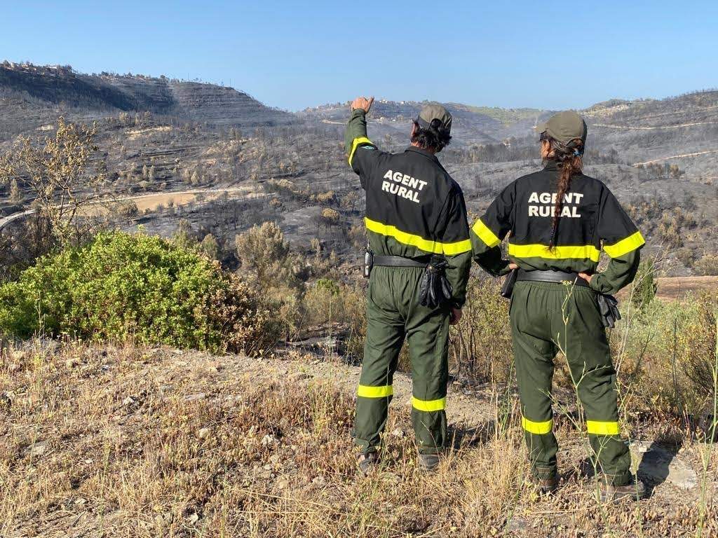 ¿Cuánto cobra un agente rural en Catalunya? Salario base, pruebas y pagas anuales