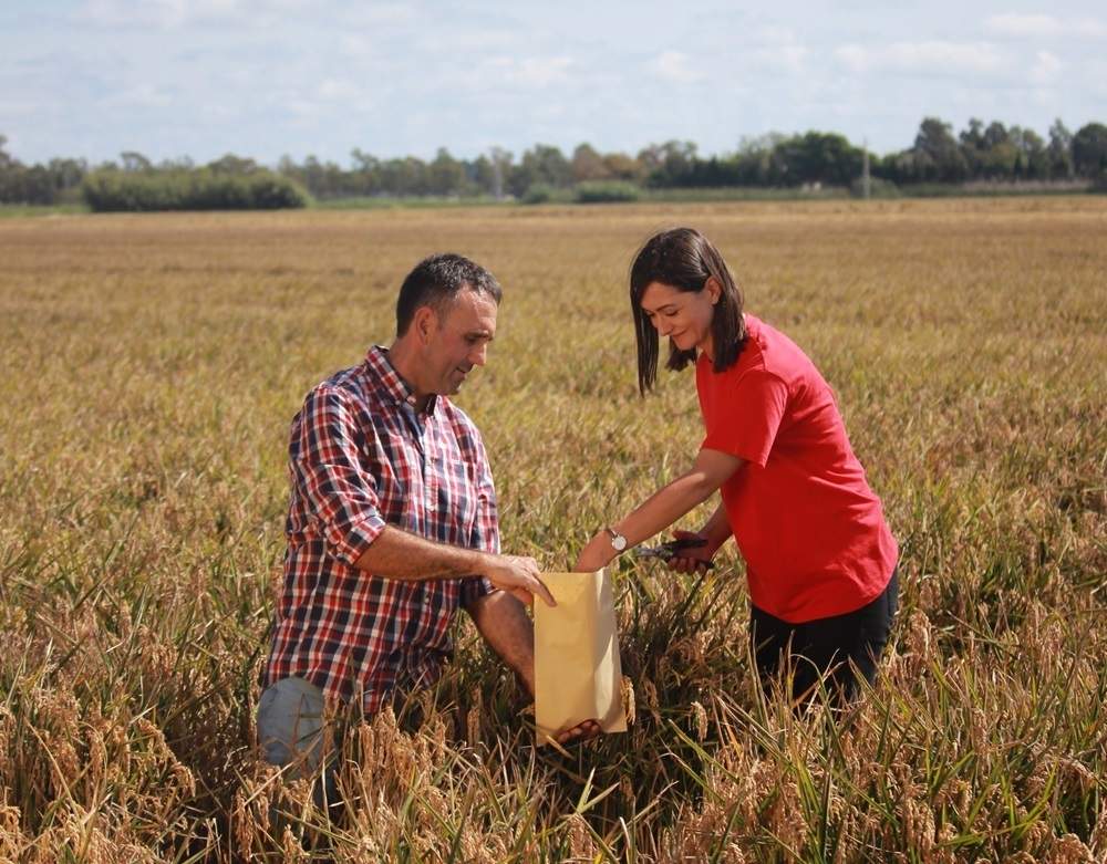 EuropaPress 6295535 kelloggs reivindica local 72 cereales vendidos espana fabricados tarragona