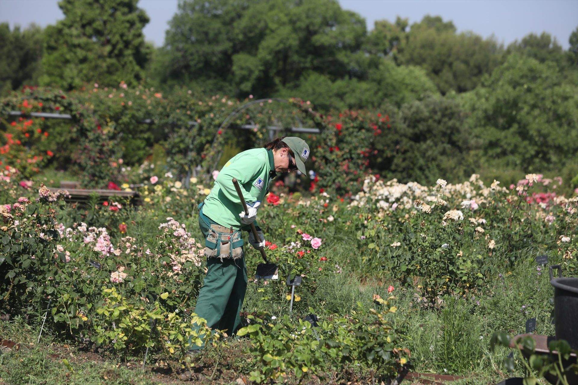 jardinero trabajador europa press