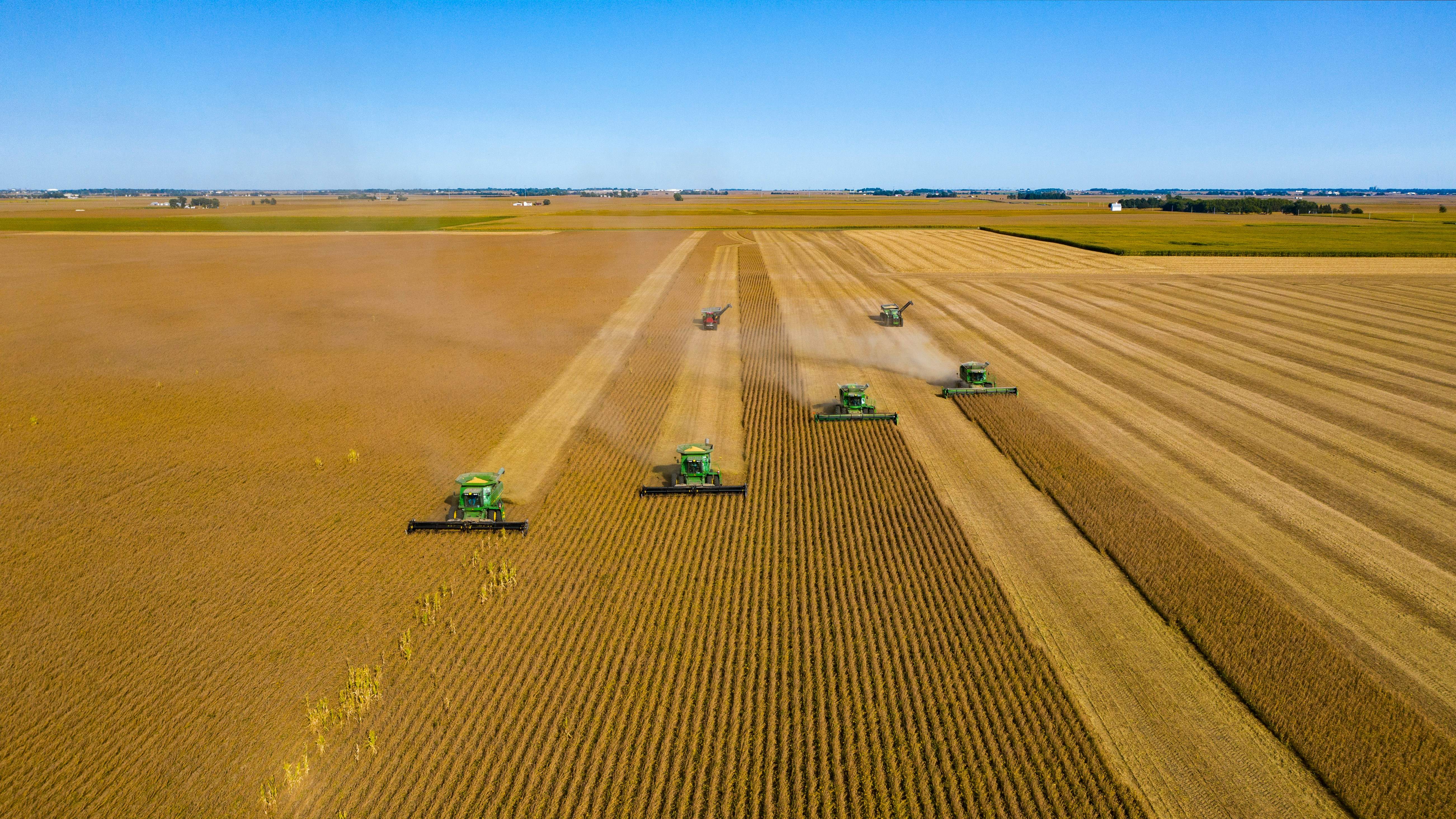 Plantación de soja en Estados Unidos. James Baltz  Unsplash