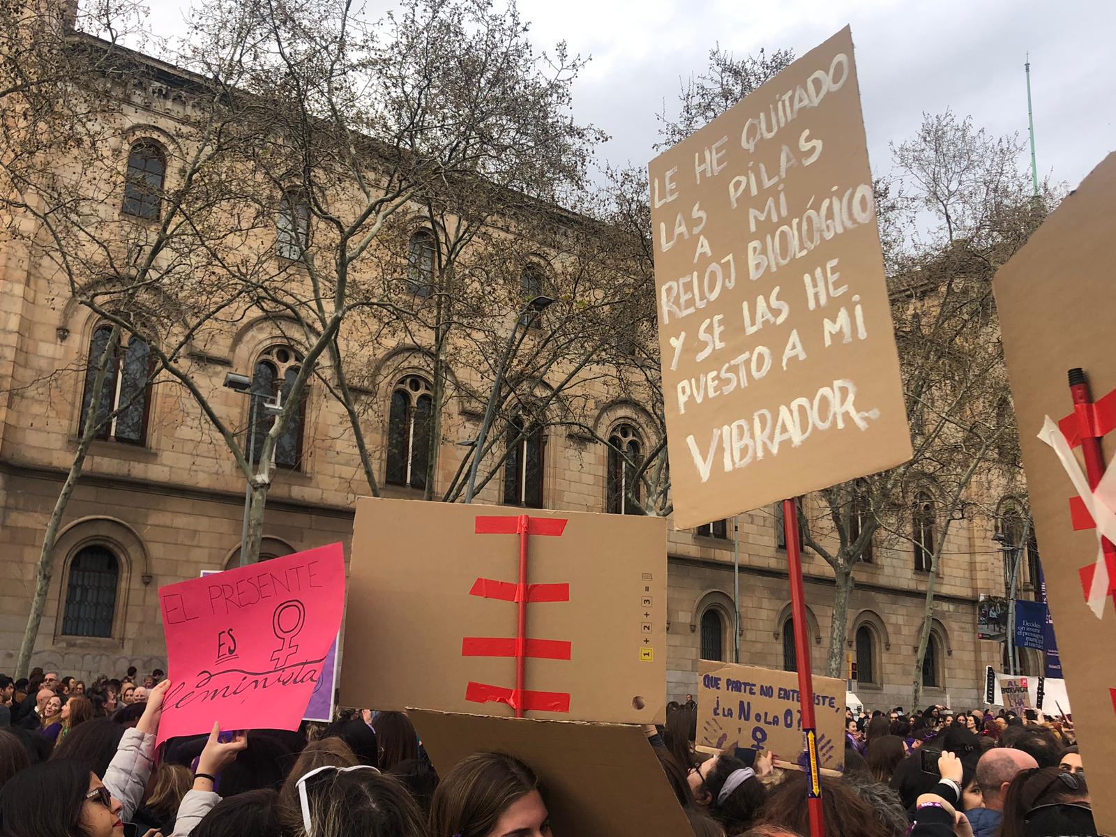 WhatsApp Image 2020 03 08 at 17.15.16 WhatsApp Image 2020 03 08 at 17.15.16