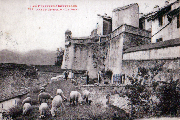 Fotografía de Prats de Molló (1925). Fuente Geneanet France