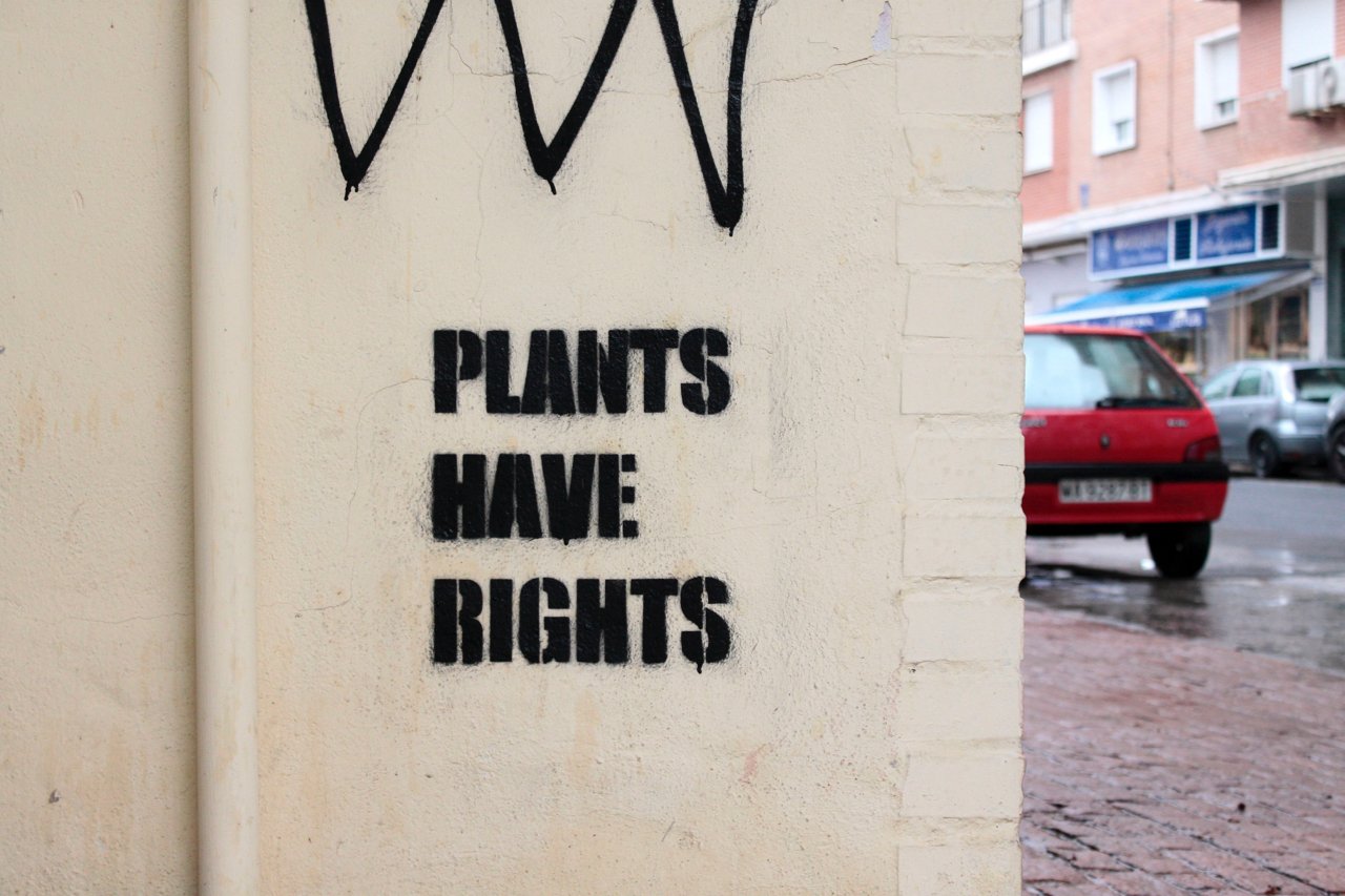 5.3 plants have rights