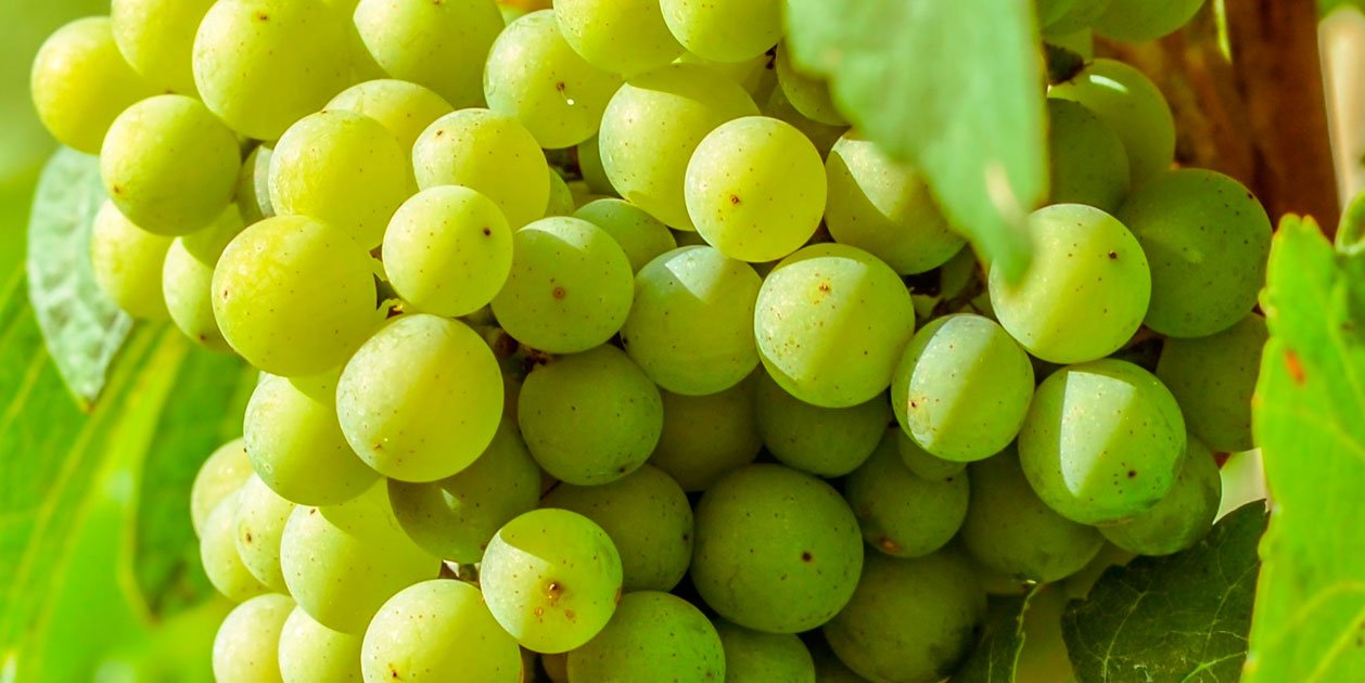 Mercadona tiene una alternativa a las 12 uvas de Nochevieja que se ha puesto de moda en España