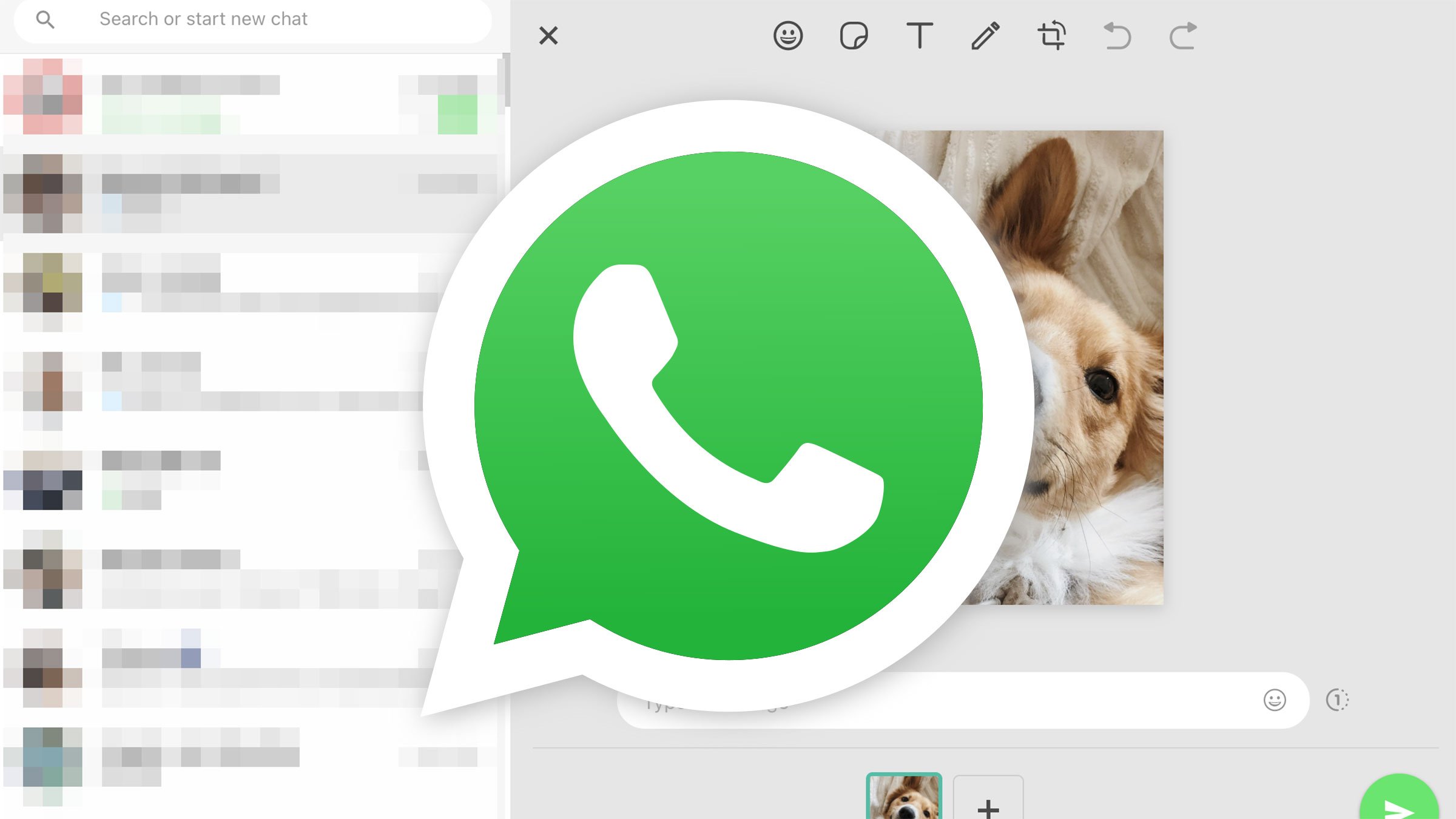 Adiós al botón de cámara en WhatsApp: así será el nuevo acceso para compartir fotos