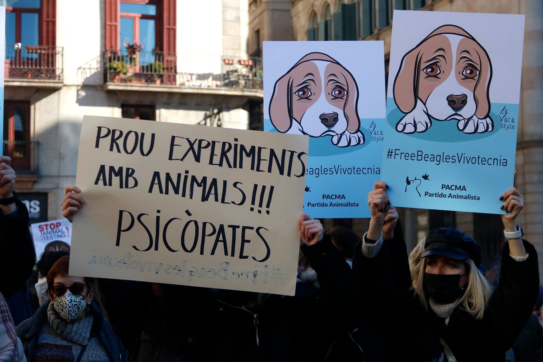 Protesta a Barcelona contra l'experiment de la UB amb cadells de beagle