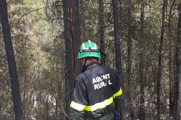 Llamp Castellar Robera Incendi