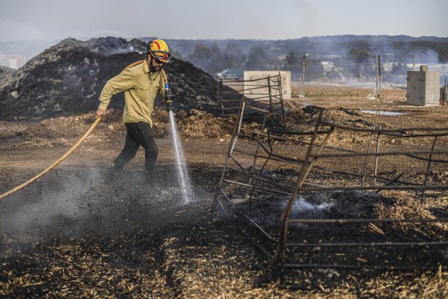 Efectius ADF remullant terreny granja afectada incendi Artés / Foto: ACN