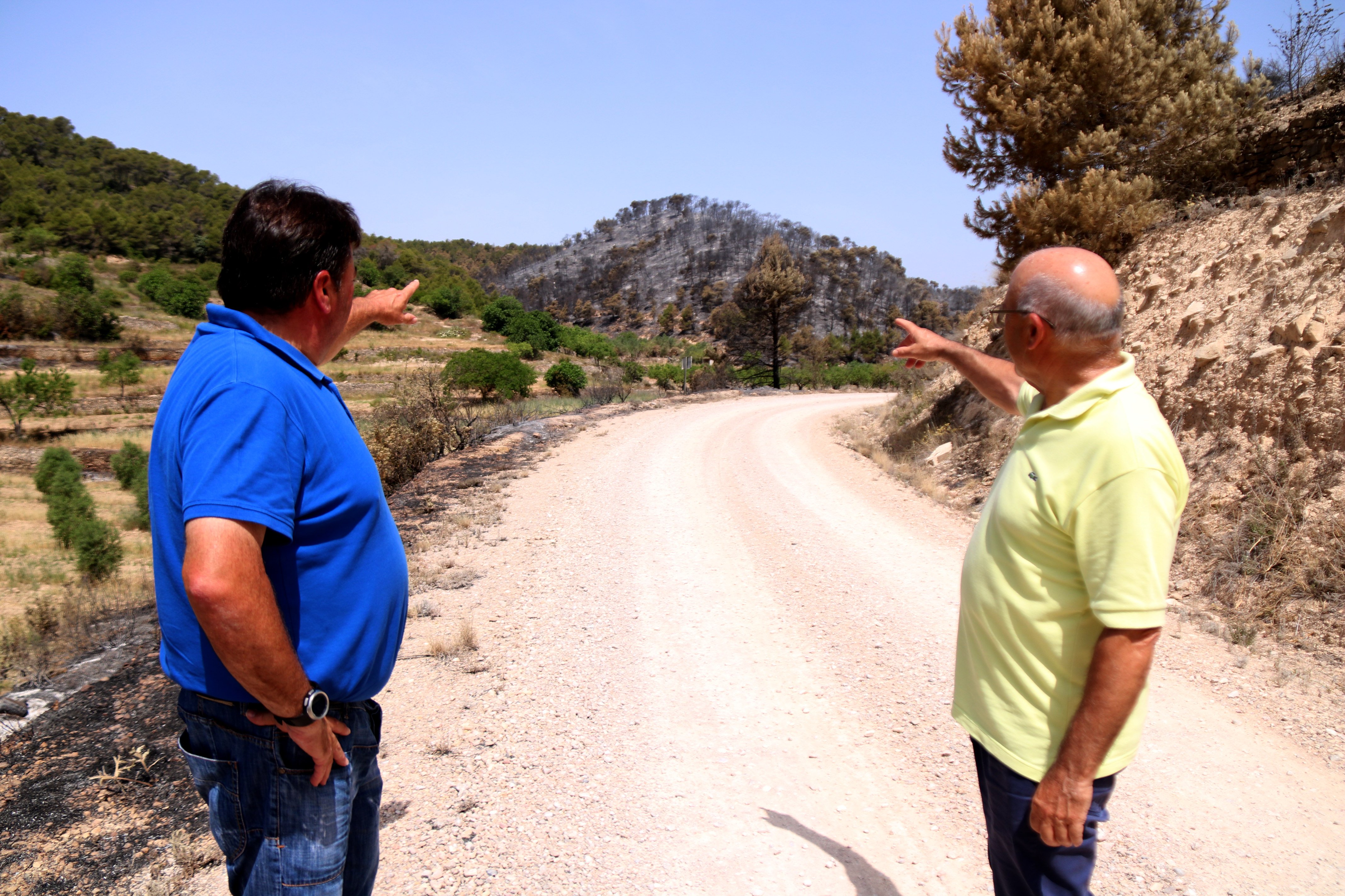 Miquel González, viticultor de Corbera d'Ebre, mostra els efectes de l'incendi Foto ACN