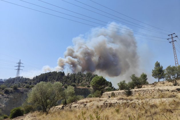 Incendio Manresa estabilizado / Europa Press