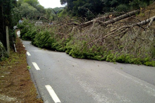 carretera Campins bloquejada per l'1 O