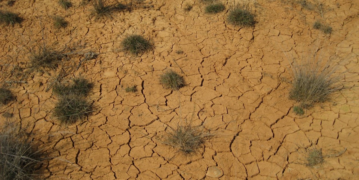 Cada gota cuenta consejos para ahorrar agua ante la sequía