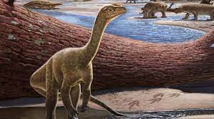 Possible aspecte del dinosaure trobat