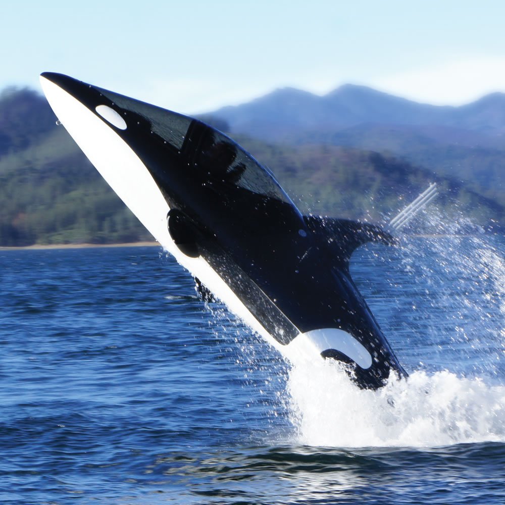 Hay un nuevo submarino igual que una orca