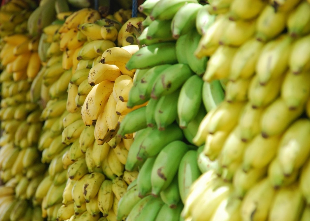 Todos estos son los beneficios del plátano para tu organismo