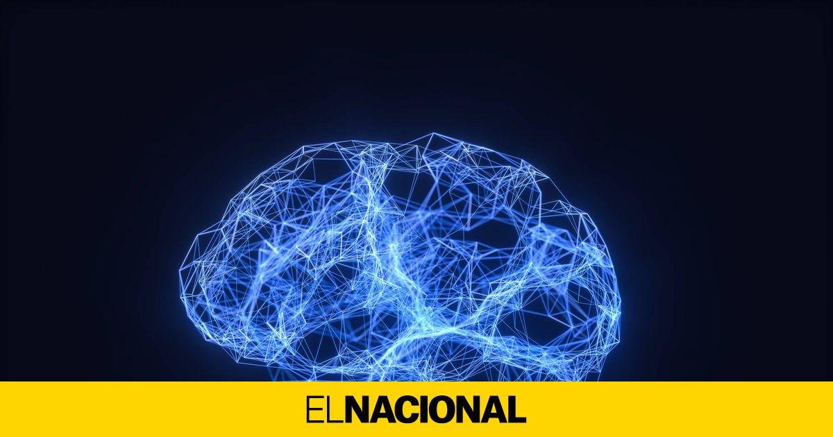 Alimentos Para Subir Tus Niveles De Dopamina Y Serotonina