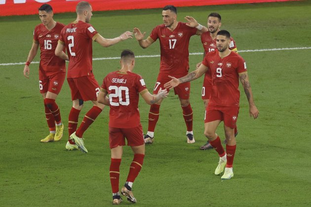 Serbia celebrando un gol / Foto: EFE