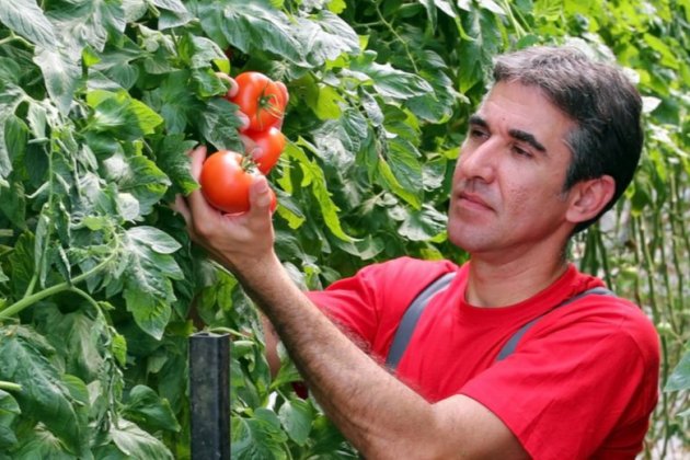 171833888 FF AGRICULTOR TOMÀQUET SHUTTERSTOCK 1920x520