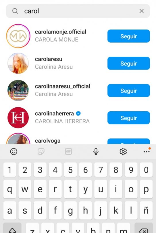 Instagram Ana Obregon