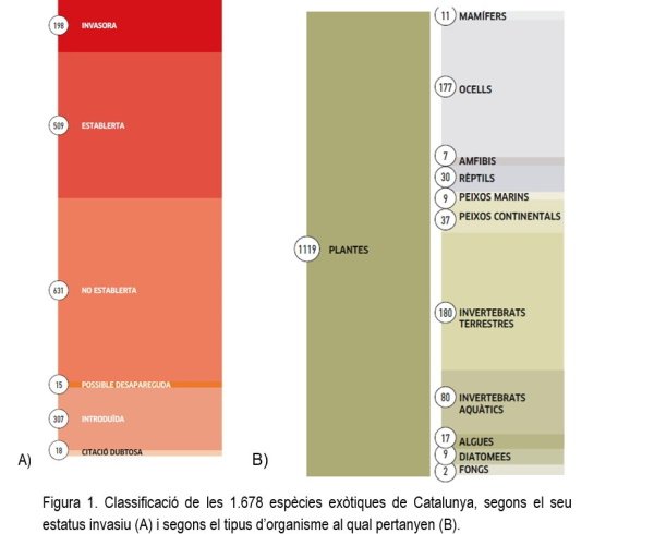 Taula Classificacio especies invasores / Govern