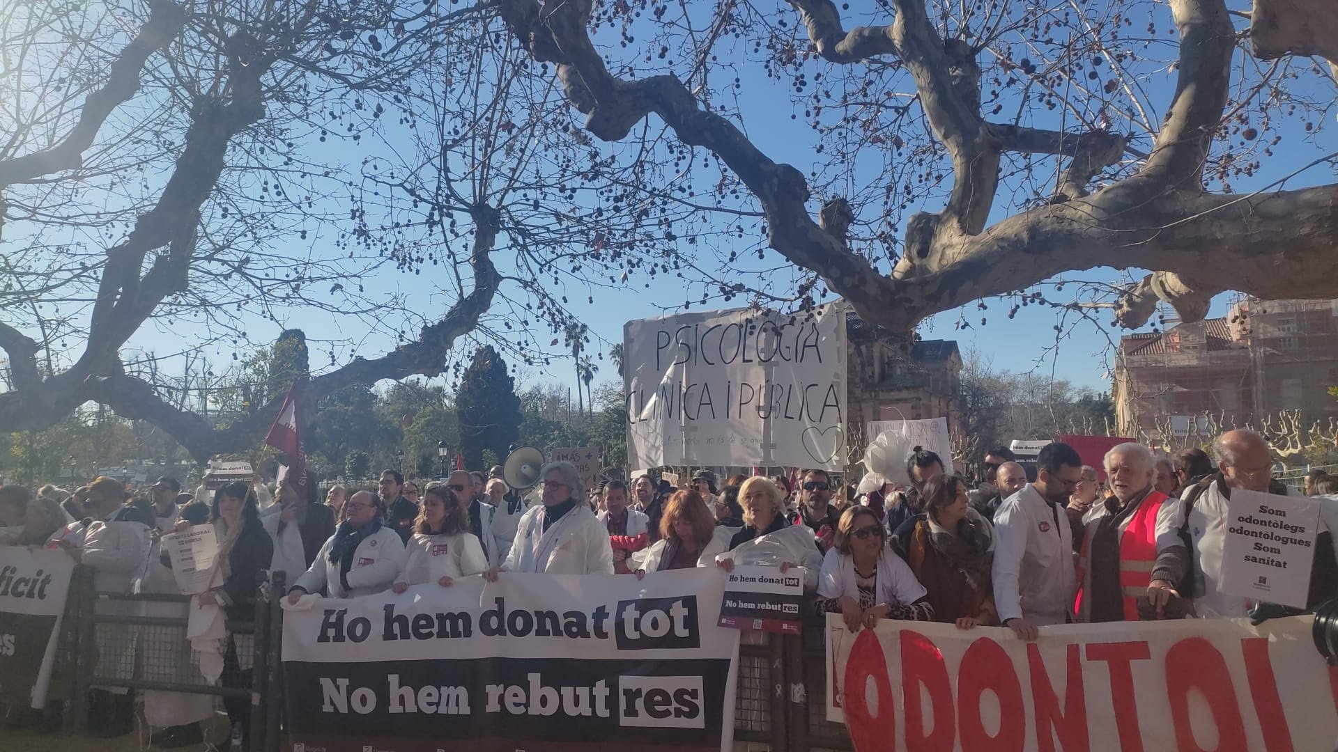 médicos ante el Parlamento / Nura Portella