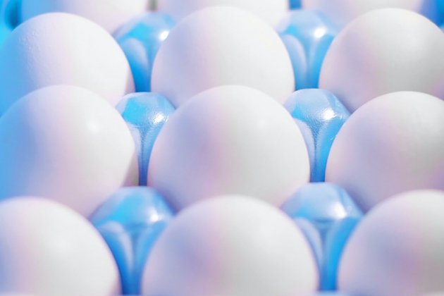 Los huevos se deben guardar fuera o dentro de la nevera y por qué en cada  país es diferente? – Enséñame de Ciencia