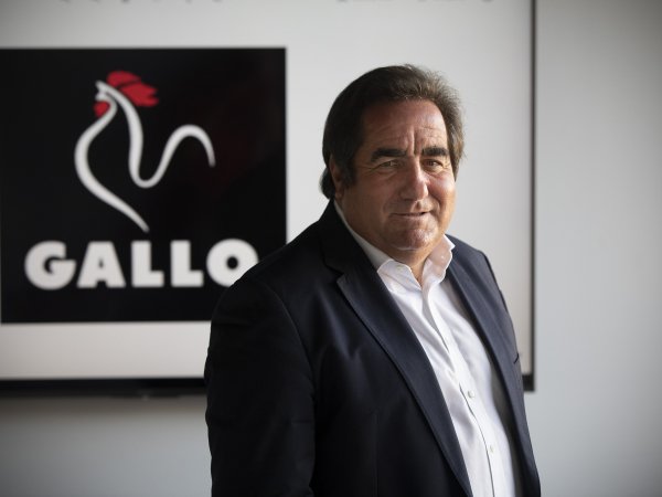 Fernando Fernández, CEO de Pastas Gallo