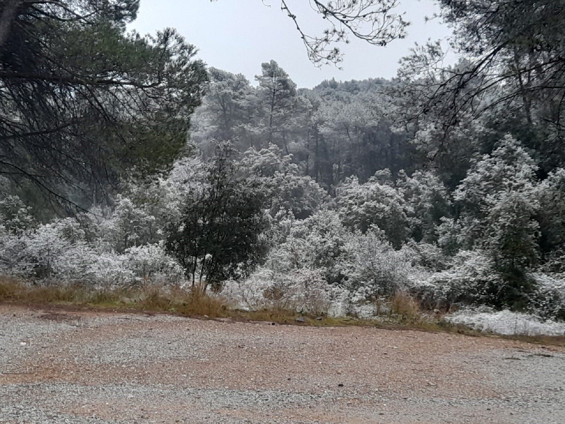 Neu a sant Cugat