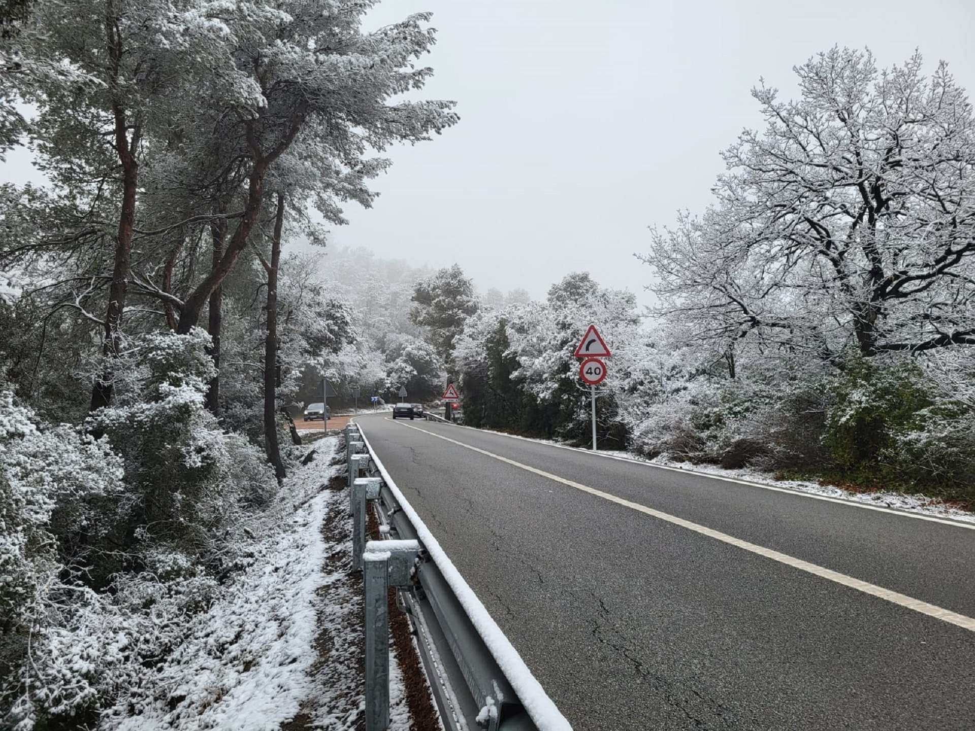 Collserola enfarinada