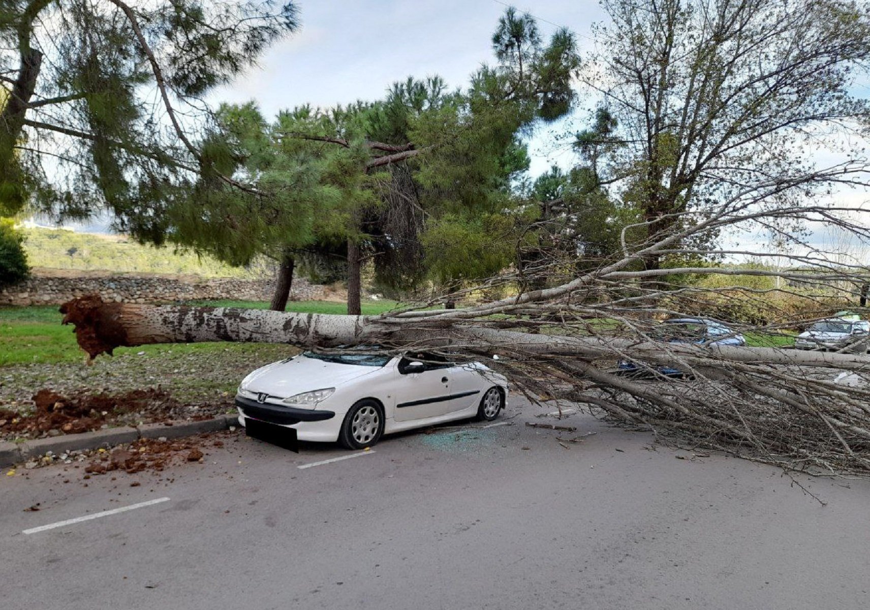Sabadell indemnizará con 800.000 euros a una mujer que se quedó parapléjica por la caída de un árbol