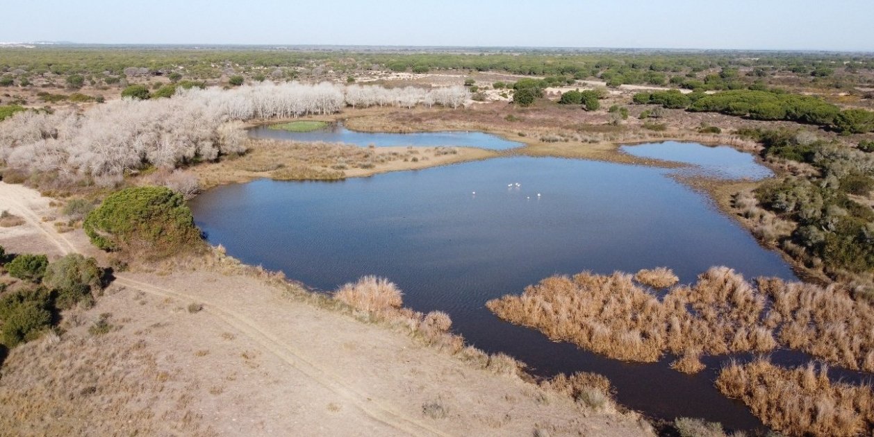 Doñana, sequera, andalusia. Foto: Europa Press