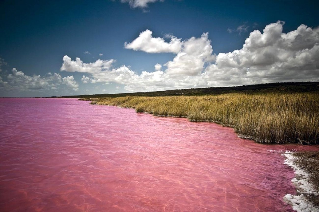 Llac Retba a Senegal: l'explicació de per què un llac de l'Àfrica és de color rosa