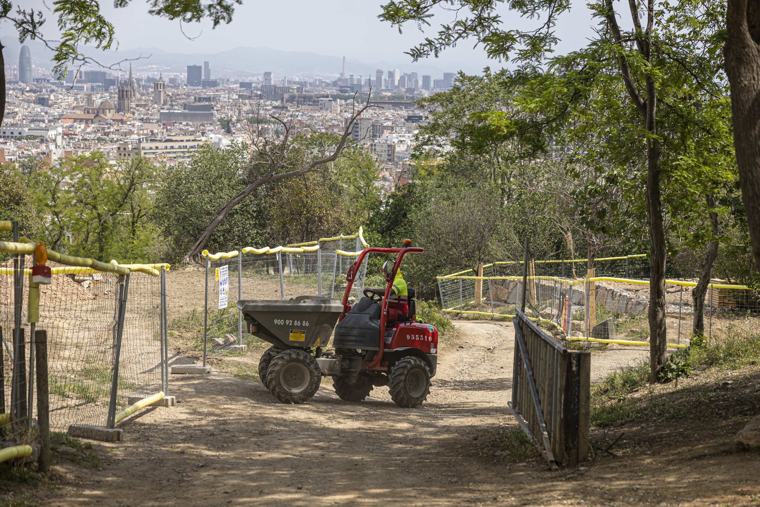 Acusan a Colau de "electoralismo" en una actuación de "deforestación" en Montjuïc