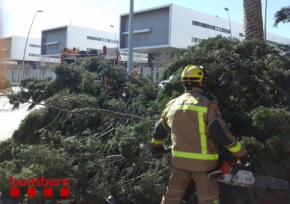 arbre vent tren ACN