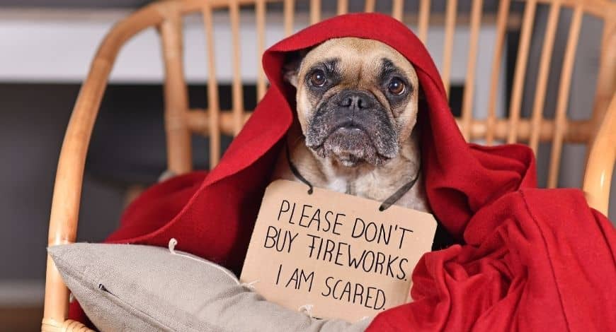Més de la meitat dels gossos té por dels focs artificials
