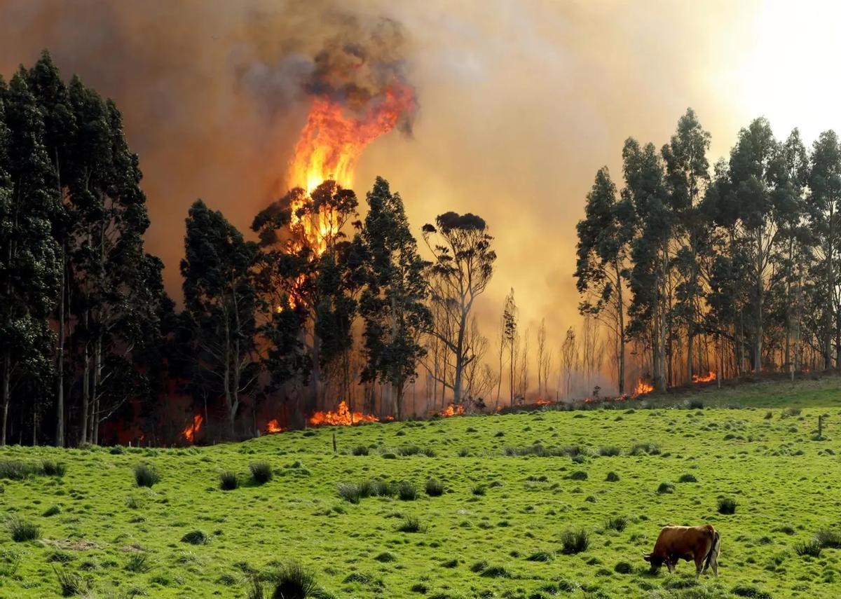 Els algoritmes, aliats contra els incendis